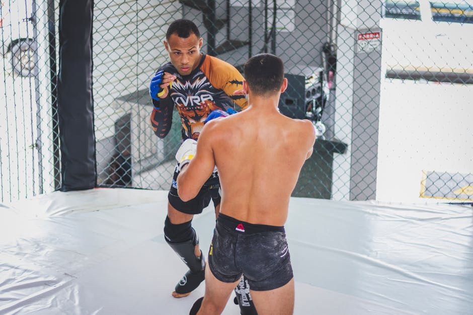 No-gi submission grappling athletes sparring in training cage