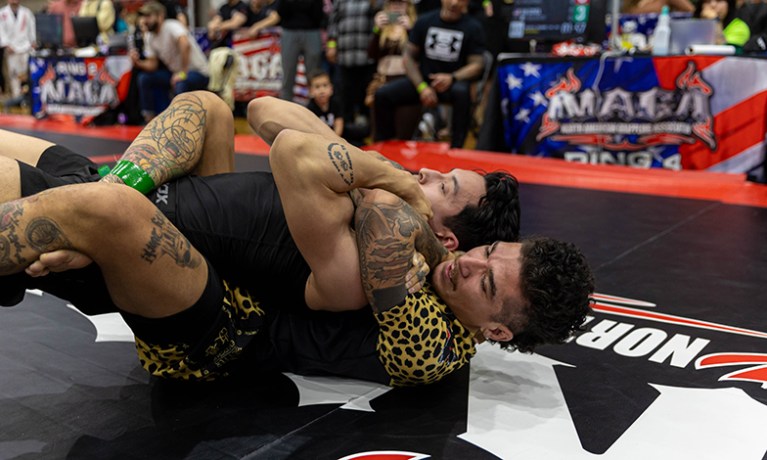 no-gi seatbelt control