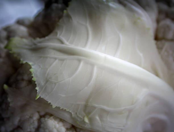 Cauliflower close-up Cauliflower close-up cauliflower ear stock pictures, royalty-free photos & images