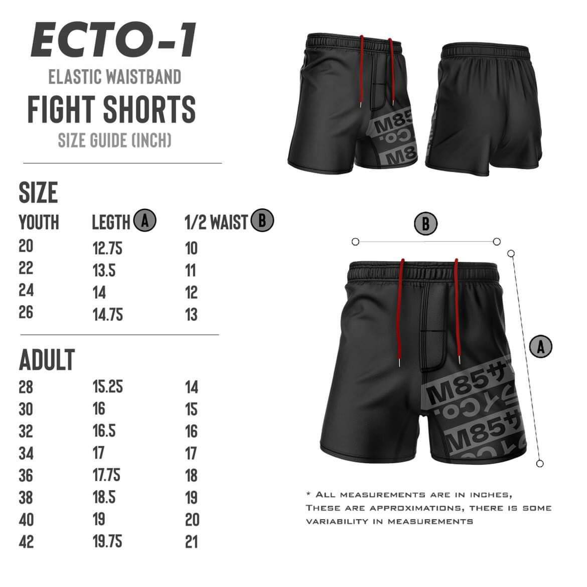 Lightweight Taiwan Theme Fight Shorts
