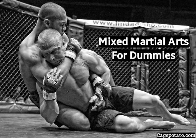 r/MMA - Fighter's cauliflower ear torn off during fight [graphic]