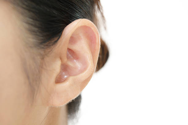 Woman's ear Closeup picture of woman's ear human ear close up stock pictures, royalty-free photos & images