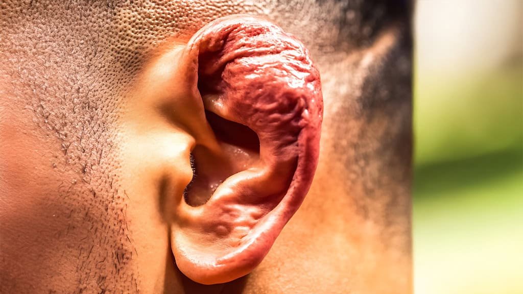 Ear Protection for Combat Sports