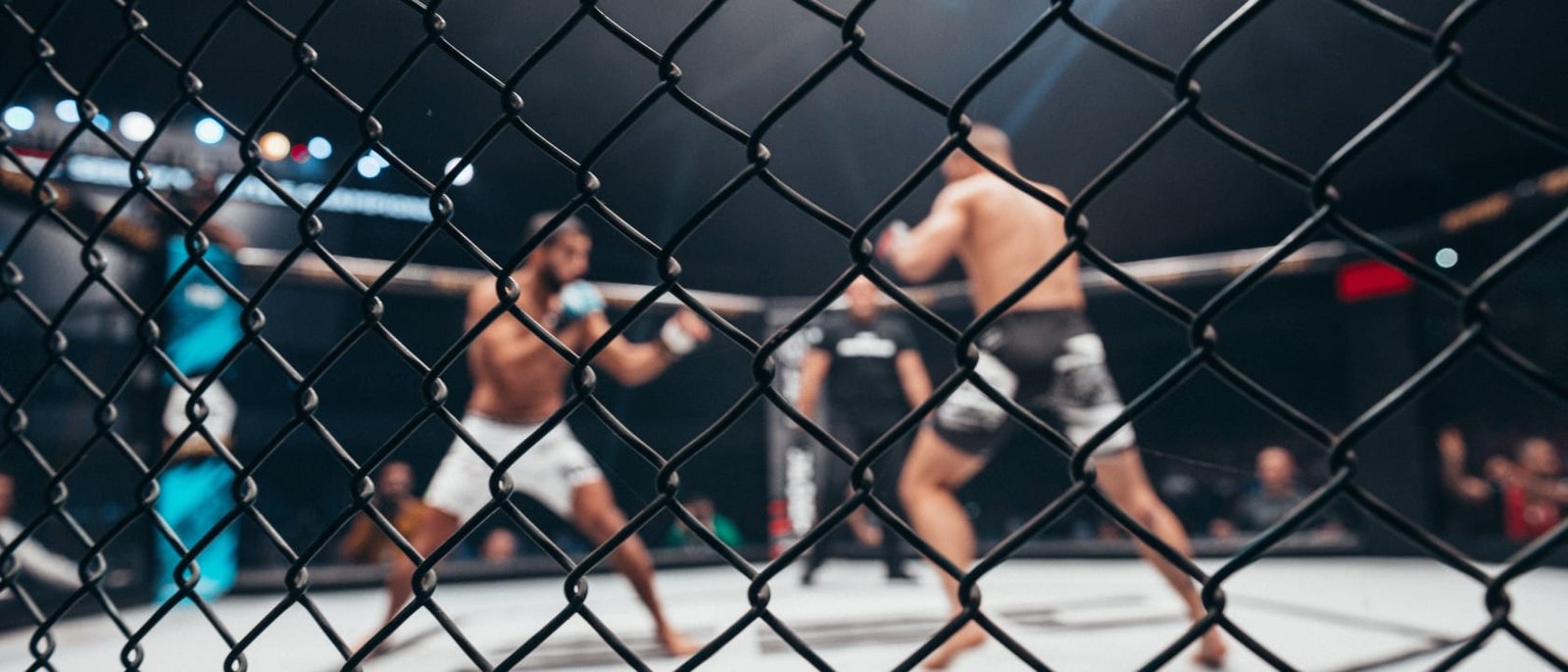 ADCC Submission Fighting World Championship