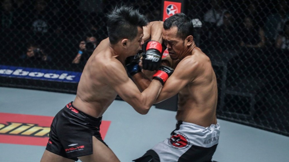 sagetdao clinch elbow